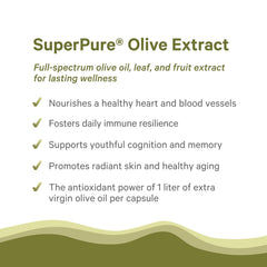 Pure Synergy daily-use capsule illustrates easy daily wellness support