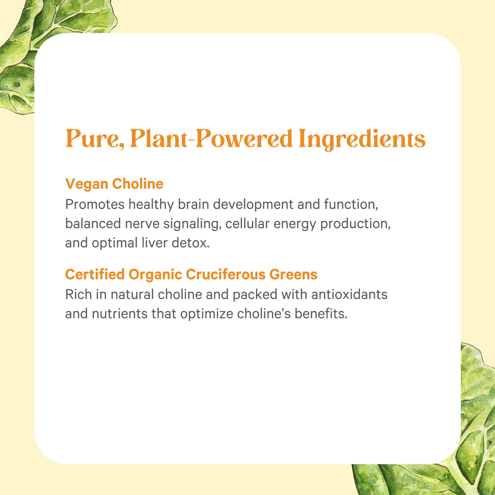 USA-made badge on PURE SYNERGY packaging reflecting quality and transparency.