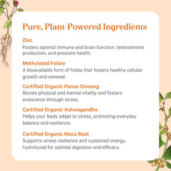 Pure Synergy organic ingredients pack highlights vegan, non-GMO formula.