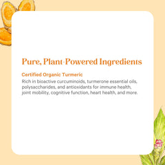 Pure Synergy organic vegan gluten-free label supports daily wellness.
