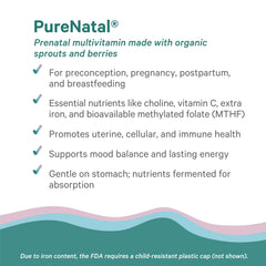 PURE SYNERGY PureNatal bottle mockup; 120-tablet supply for preconception and pregnancy.