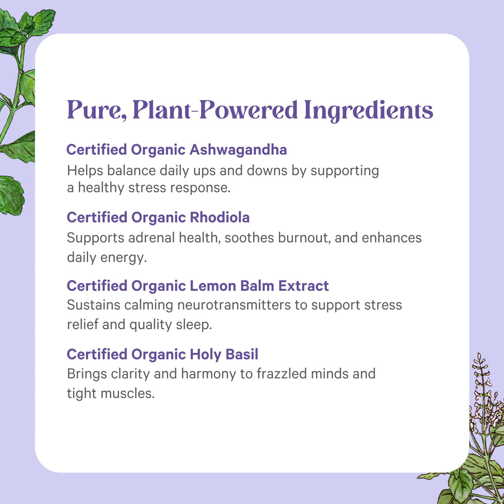 Pure Synergy Stress Remedy serving size visual indicates 2 capsules daily.