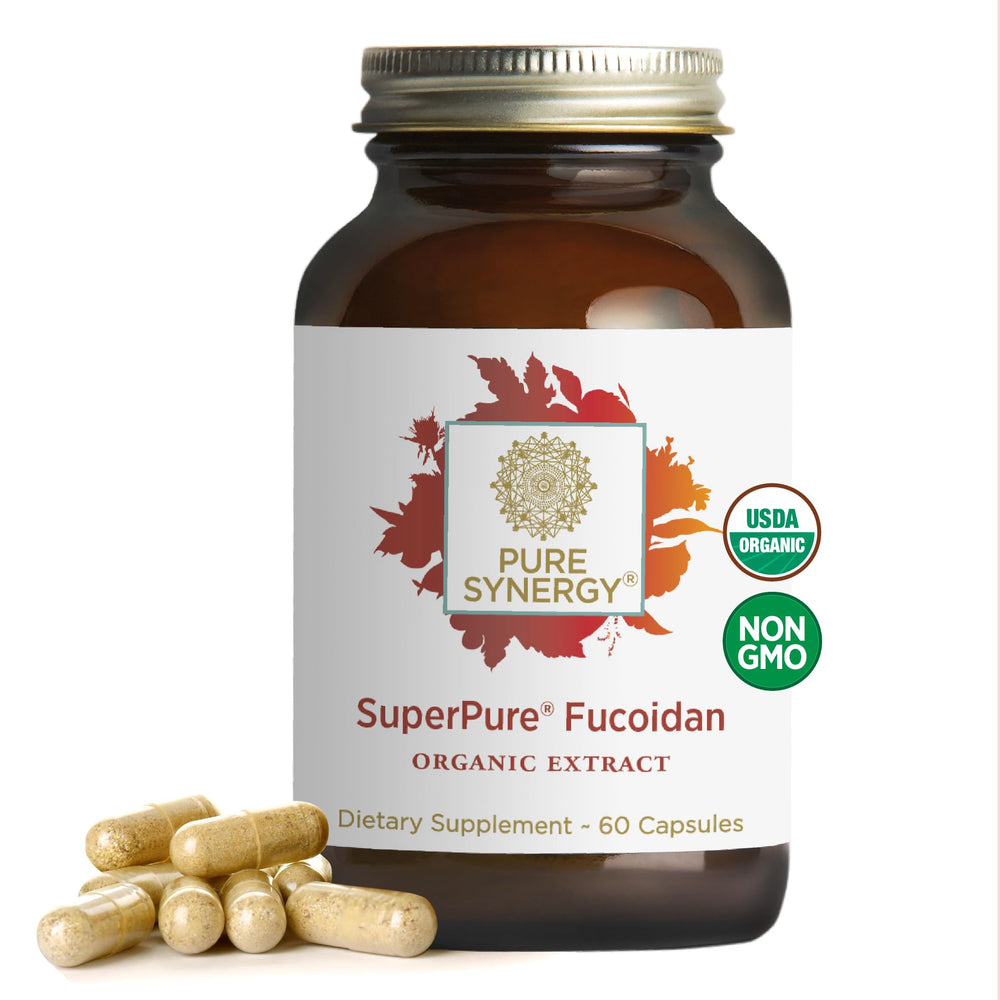 PURE SYNERGY SuperPure fucoidan extract bottle with organic, gluten-free formula for daily immune support.