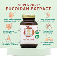 Six capsules arranged for easy daily dosage and flexibility.
