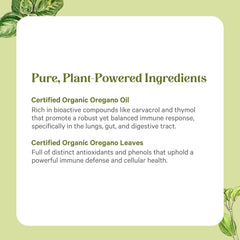 Oregano extract bottle on kitchen counter, easy daily immune support ritual.
