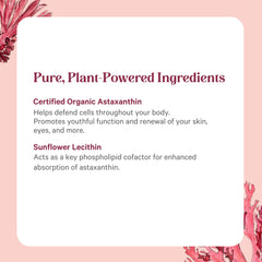Sunflower lecithin enhances absorption in Pure Synergy SuperPure