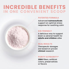 Ingredient panel of Just Relax Watermelon highlighting key calm-support nutrients