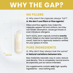 Pure Therapro Rx USA-made GMP facility label indicating quality production