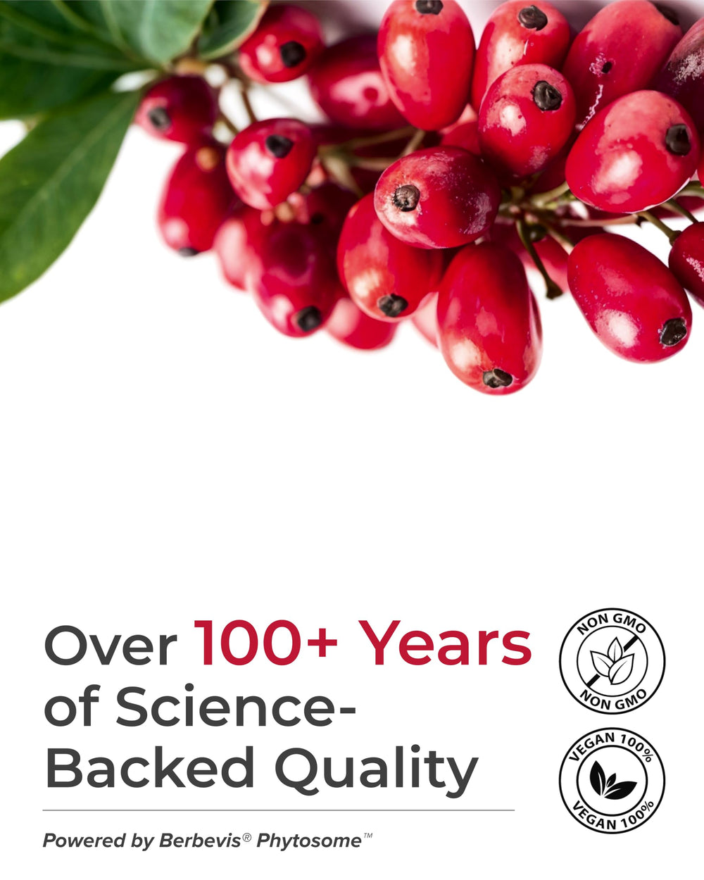 PURECRAFT Berberine daily routine image suggests consistent use.