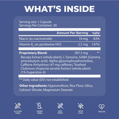 PUREHEALTH RESEARCH Ageless Brain vitamin B6 and niacin emphasis suggests essential nutrient support.