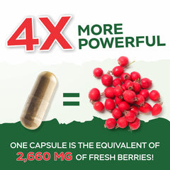 Purely Holistic Hawthorn Berry extract visual emphasizing potency and convenience.