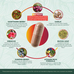 PurePremium hawthorn berries image emphasizes herbal heart-friendly blend.