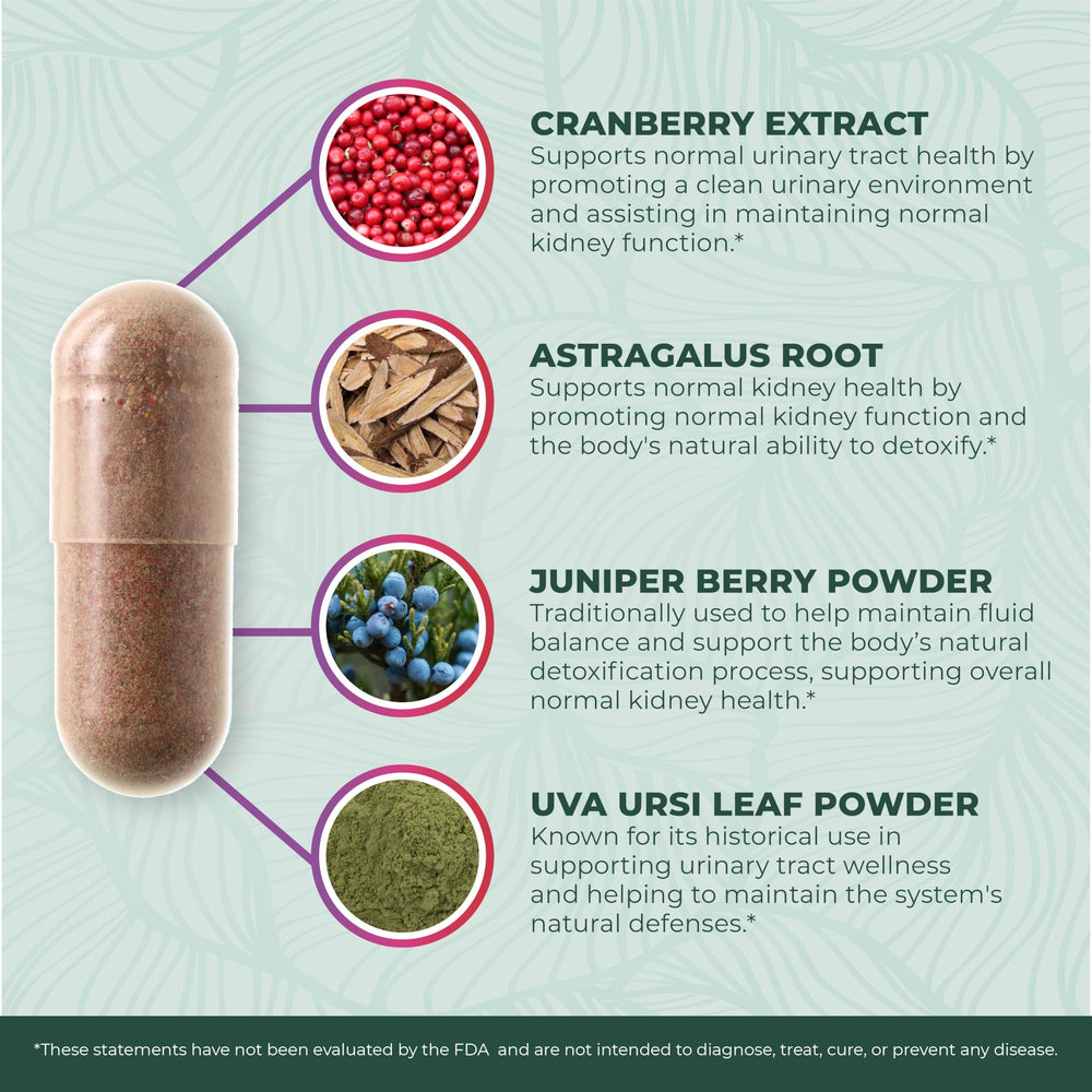 PurePremium uva ursi leaf extract promotes urinary tract health