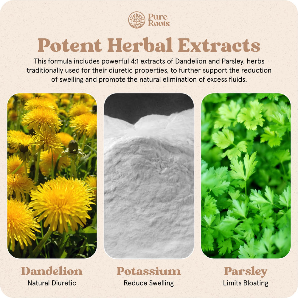 PureRoots Biotrim capsule close-up indicating a natural, stimulant-free option