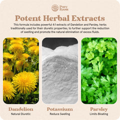 PureRoots Biotrim capsule close-up indicating a natural, stimulant-free option