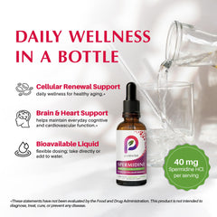 PureWise Spermidine Drops pour scene highlighting easy dosing and peppermint flavor.