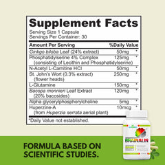 Puridian Brainalin ingredients graphic illustrating key nootropic blend.
