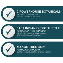 East Indian Globe Thistle ingredient featured in Purity's Muscle Accelerator