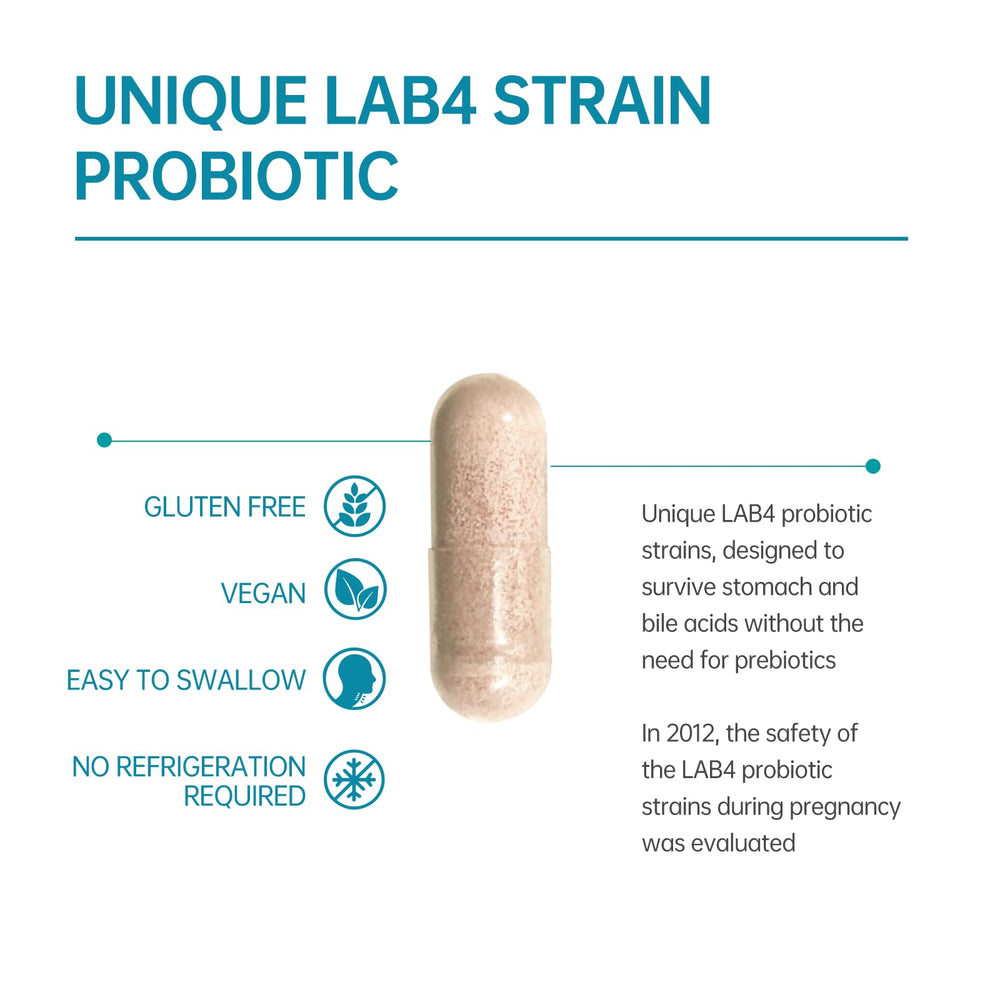 Purmeo probiotic capsules on a clean kitchen backdrop for everyday use