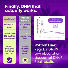Purple Tree electrolyte hydration setup focused on rehydration and balance.