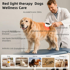 Qirelle red light therapy visible spectrum image showing 450–660nm benefits.