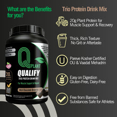 Qualify protein brownie flavor swirl highlights rich chocolate taste for recovery shakes.
