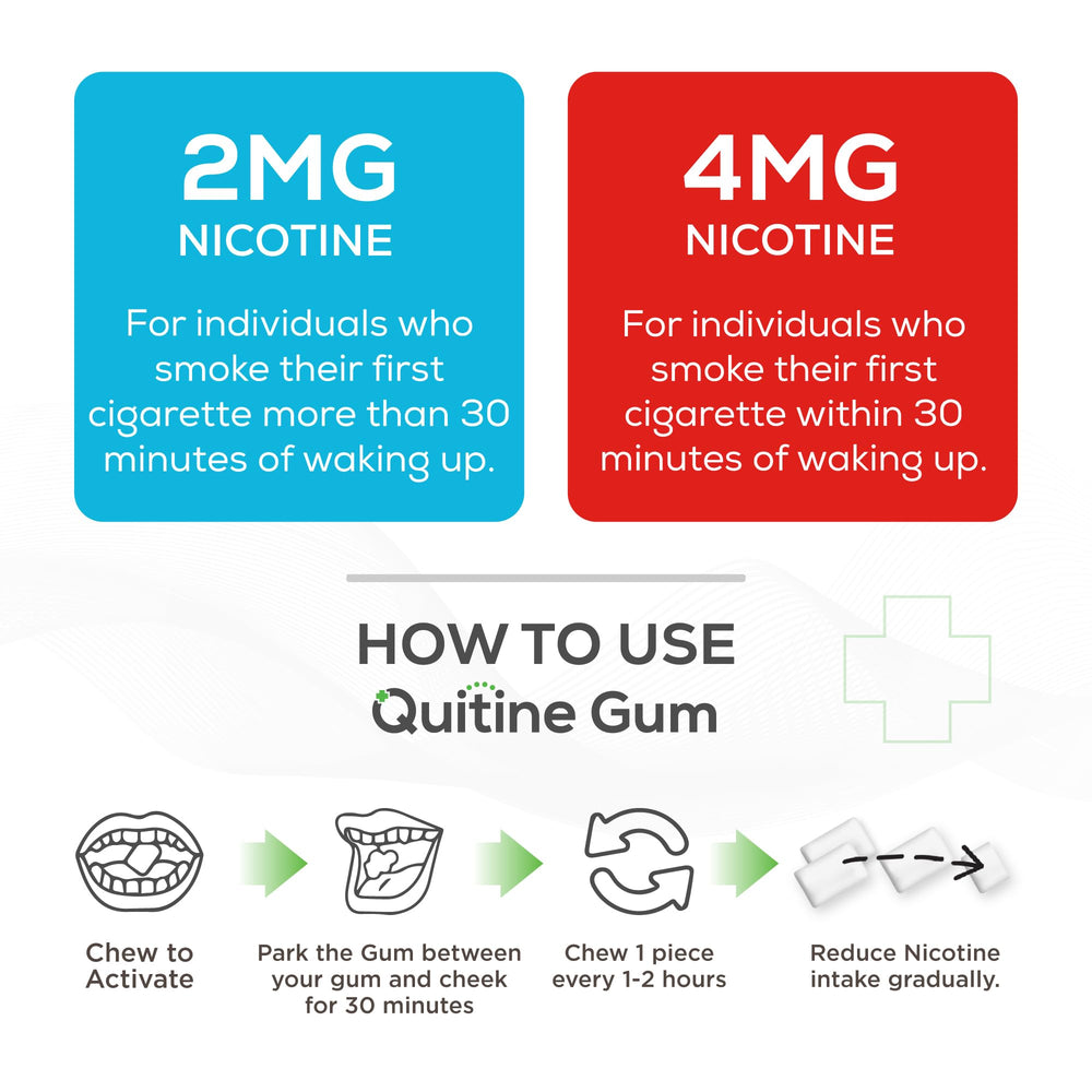 Quitine fruit-flavor gum close-up highlights sugar-free, satisfying chew.