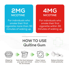 Quitine 2mg mint quick-burst highlights fast flavor fade for cravings.