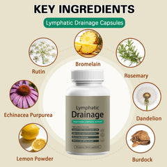 QYGCHUSIN ingredients close-up showing echinacea and elderberry for natural defense support.