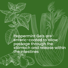 Rachelstea Peppermint Gels after meals concept shot for comfort