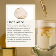 Rainbo Lion's Mane tincture label close-up, Canada-made.