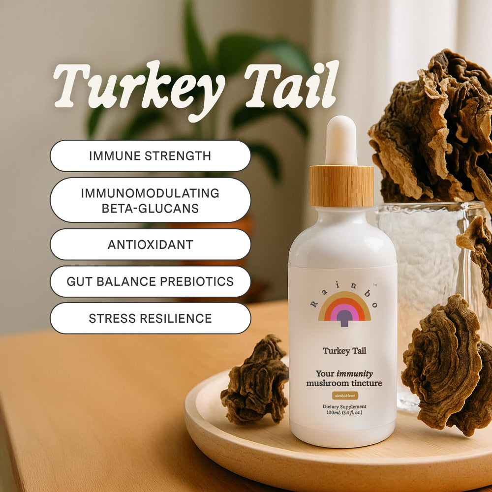 Pouring Rainbo Turkey Tail tincture into a cup for easy gut health support.