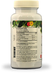 Rainforest Nutritionals Reparagen Plus capsules closeup highlighting two natural extracts.