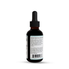 Rainforest Pharmacy Sangre de Drago liquid dropper releasing drops into water