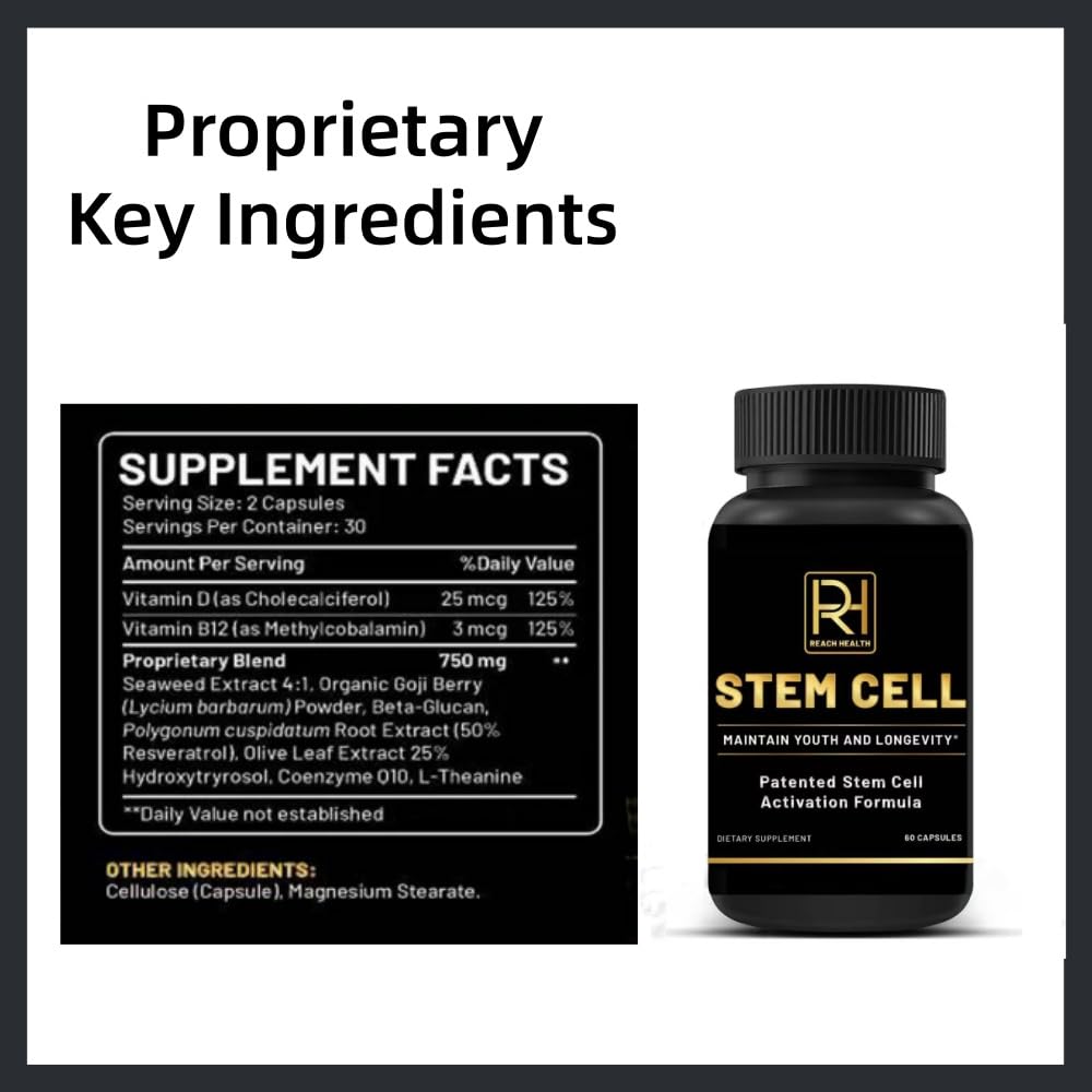 Goji berry and seaweed ingredient visuals signal natural vitality support.
