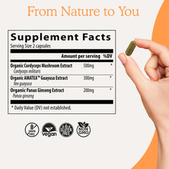 Real Mushrooms RealBoost bottle with capsules ready for daily use.