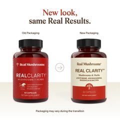 Real Mushrooms RealClarity capsules close-up highlighting lion's mane for cognitive support.