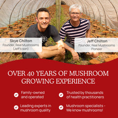Real Mushrooms RealClarity USDA Organic label on bottle signals purity.
