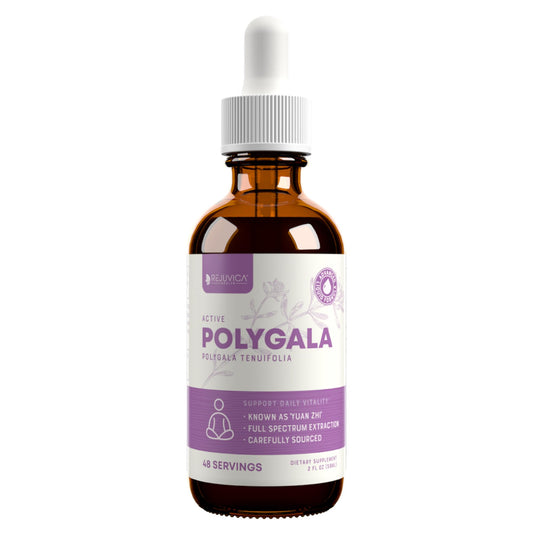 Rejuvica Health Active Polygala bottle with dropper for brain support use.