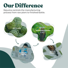 LymphoRight formula presented as a clean, alcohol-free liquid