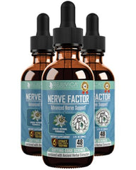 Rejuvica Health NerveFactor bottle and dropper for easy daily nerve support.
