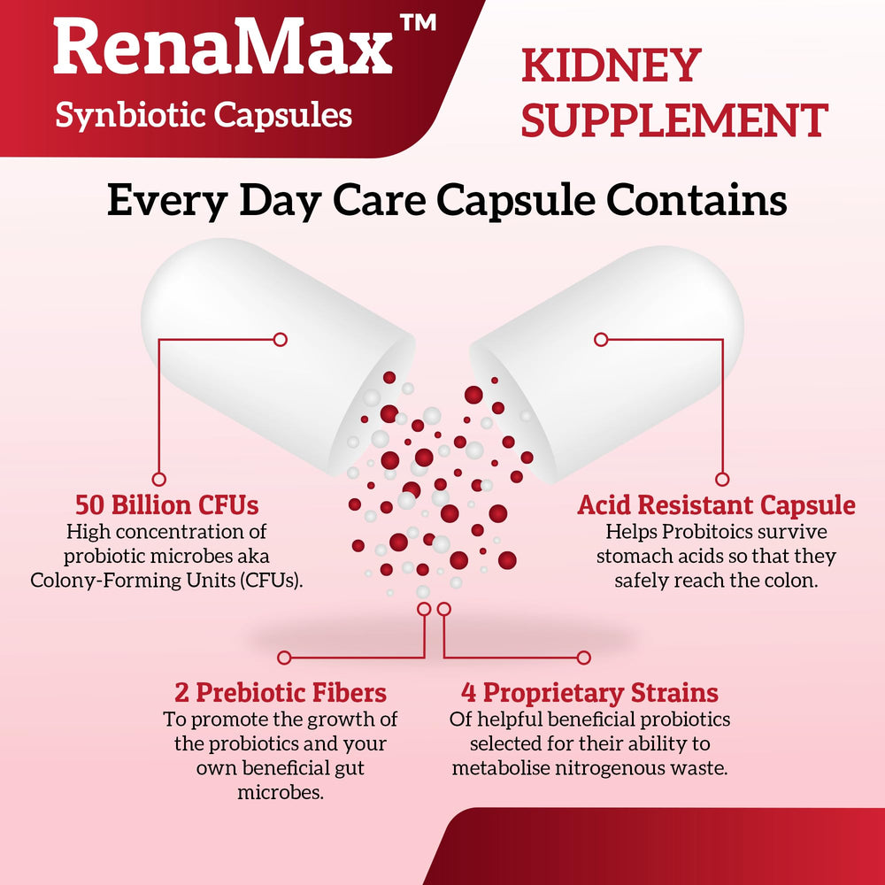 RENAMAX probiotic strains list image featuring four core bacteria.