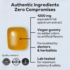 Reprise Reishi gummies pack of 3 conveys value and convenience.