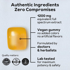 Reprise turmeric gummies jar close-up showing natural color