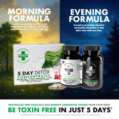 Rescue Detox coaching-support-scene shows access to guidance during the cleanse.