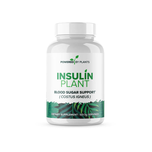Research Biotech Group insulin plant capsules bottle shows vegan, non-GMO formula for daily wellness.