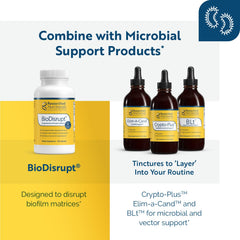Researched Nutritionals Microbinate turmeric component image suggesting healthy inflammatory response support.