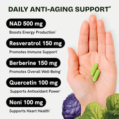 Resurrected Health NAD energy capsules promote daytime focus and clear mind