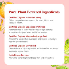Resveratrol supplement scene illustrating antioxidant-rich ingredients for vascular wellness