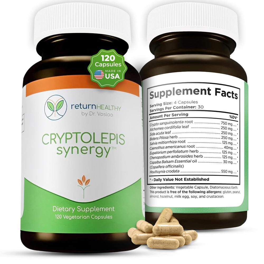 Return Healthy Cryptolepis Synergy bottle front promotes everyday immune support and overall wellness.